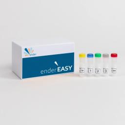 ender EASY - ender diagnostics - Life Sciences
