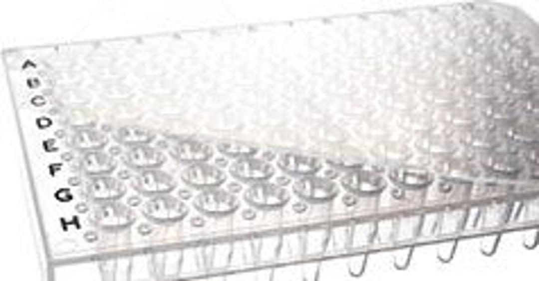 Thermo Scientific ABsolute qPCR Seal - Thermo Fisher Scientific - Life Sciences