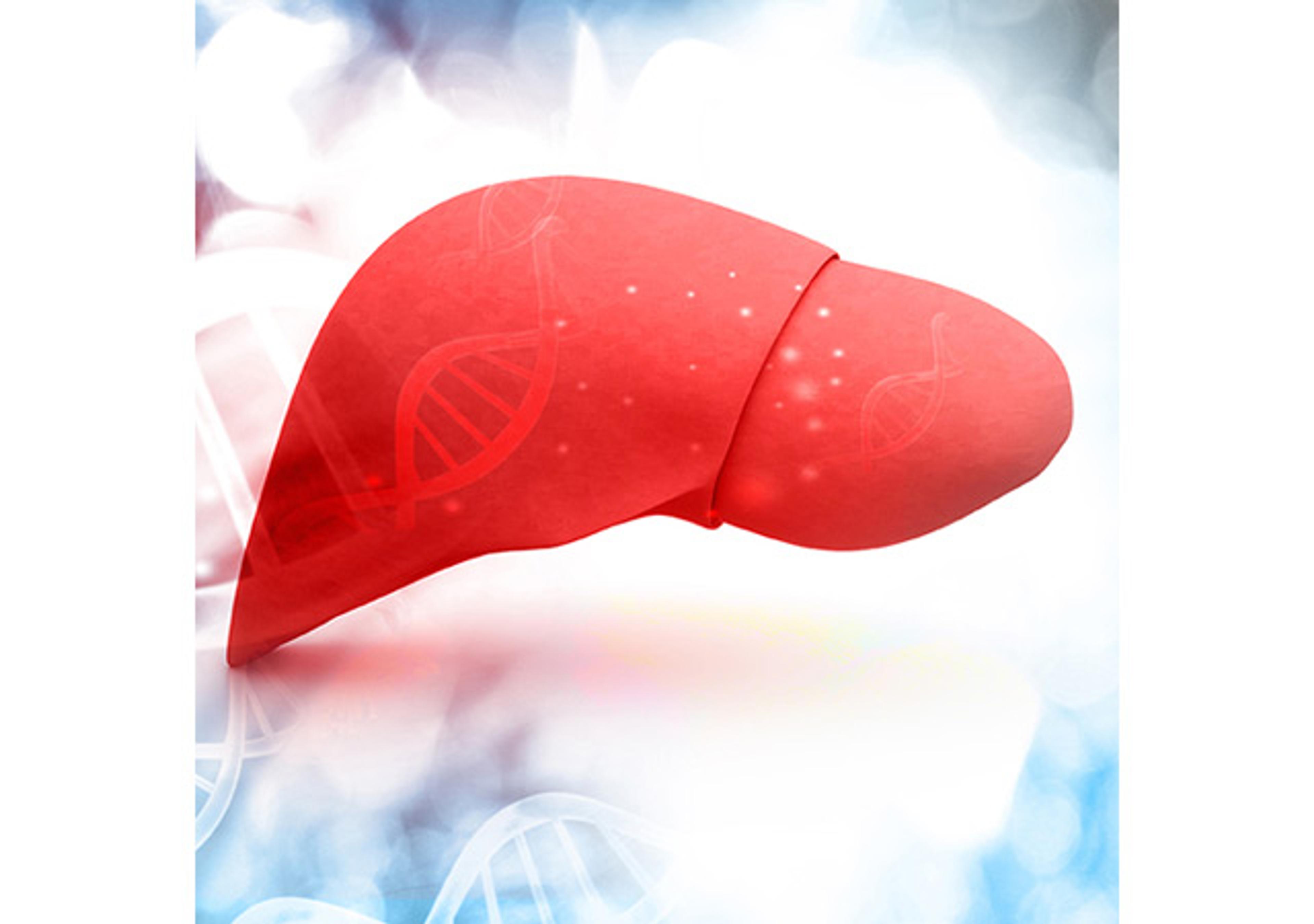 Bile Acids - Cambridge Isotope Laboratories - Life Sciences