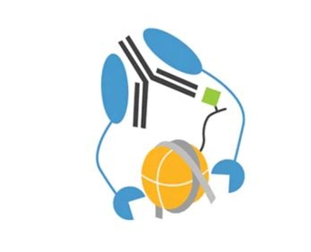 CUTANA™ pAG-MNase for ChIC/CUT&RUN Workflows - 50 rxns - EpiCypher - Life Sciences