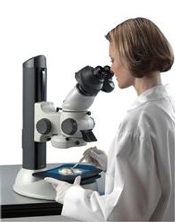Alpha Expanded Pupil Stereo Microscope - Vision Biomed - Life Sciences