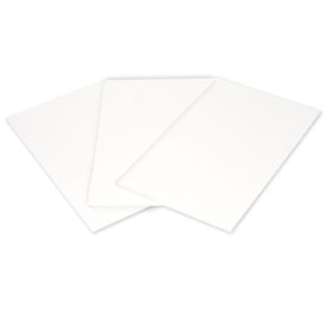 Thick Blot Filter Paper, Precut, 9.5 x 15.2 cm - Bio-Rad - General Lab