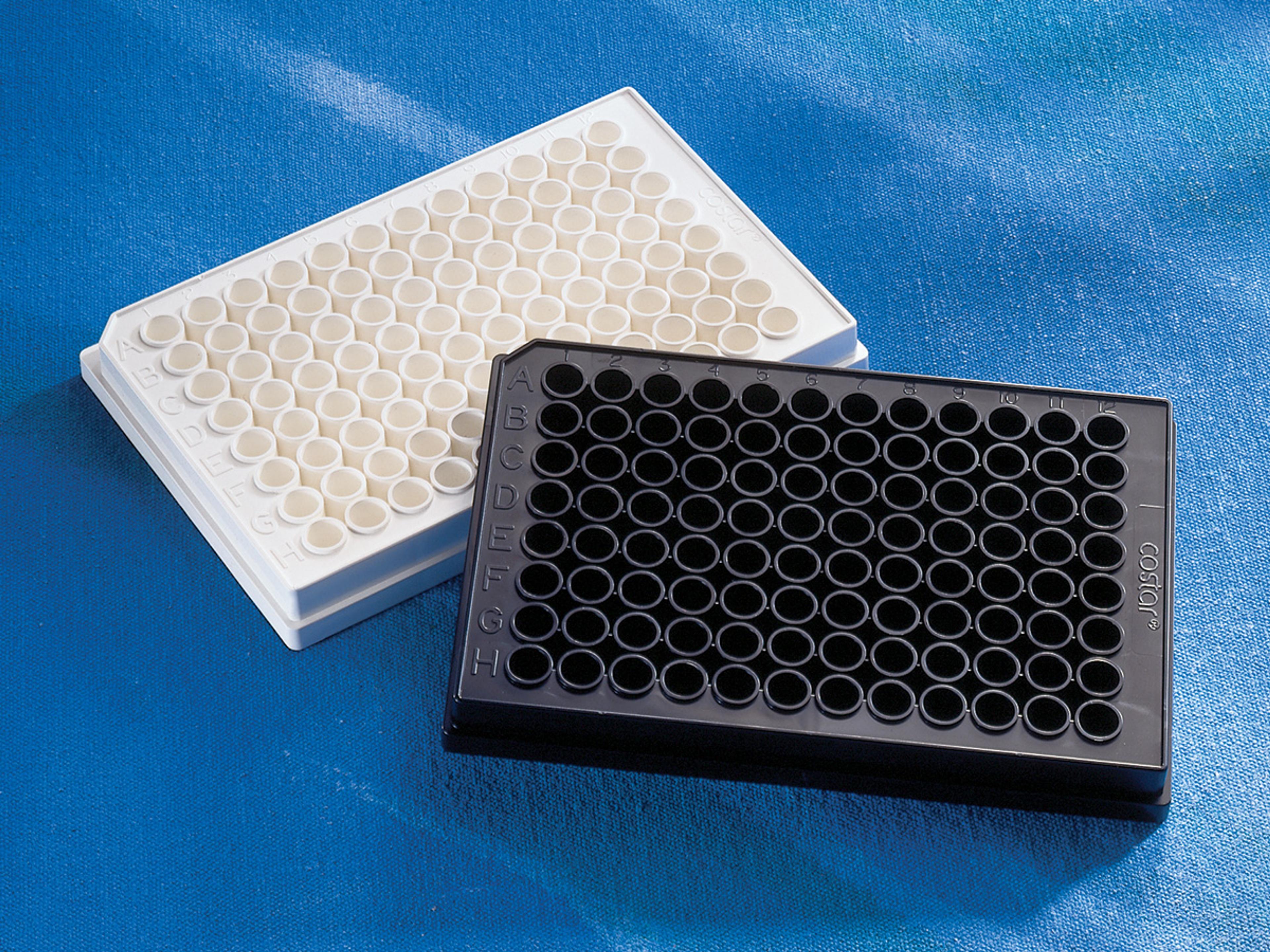 Corning® 96-well White Round Bottom Polystyrene Not Treated Microplate, 25 per Bag, without Lid, Nonsterile - Corning Life Sciences