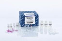 AllPrep PowerFecal DNA/RNA Kit - QIAGEN