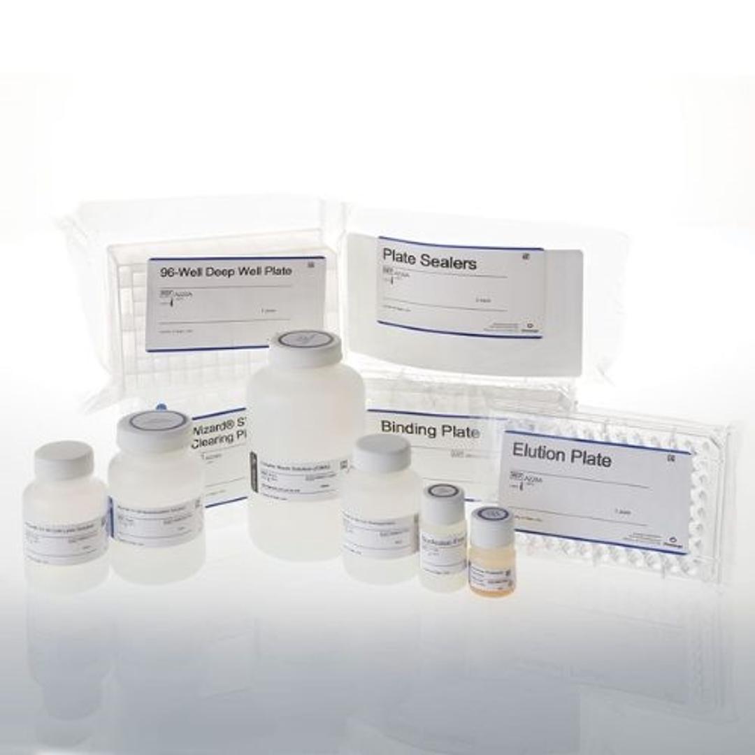 Wizard® SV 96 Plasmid Midiprep System (1, 5, 100 x 96 prep) - Promega Corp. - Life Sciences