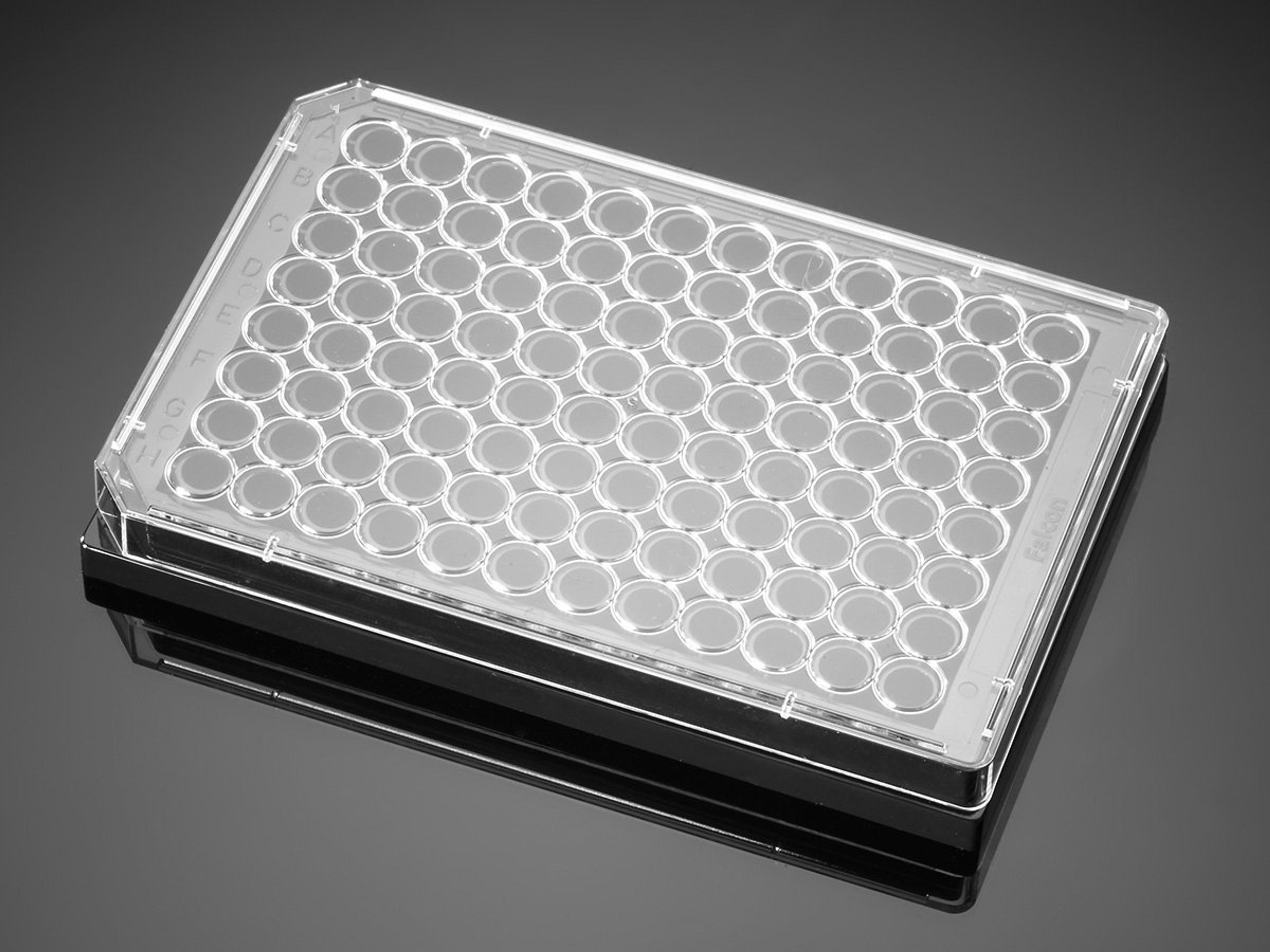 Corning® BioCoat™ Poly-D-Lysine 96-well Black Flat Bottom Microplate, 20/Pack, 80/Case - Corning Life Sciences - Life Sciences