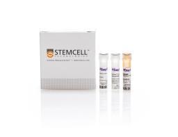 EasySep™ Biotin Positive Selection Kit II - STEMCELL Technologies Inc. - Life Sciences