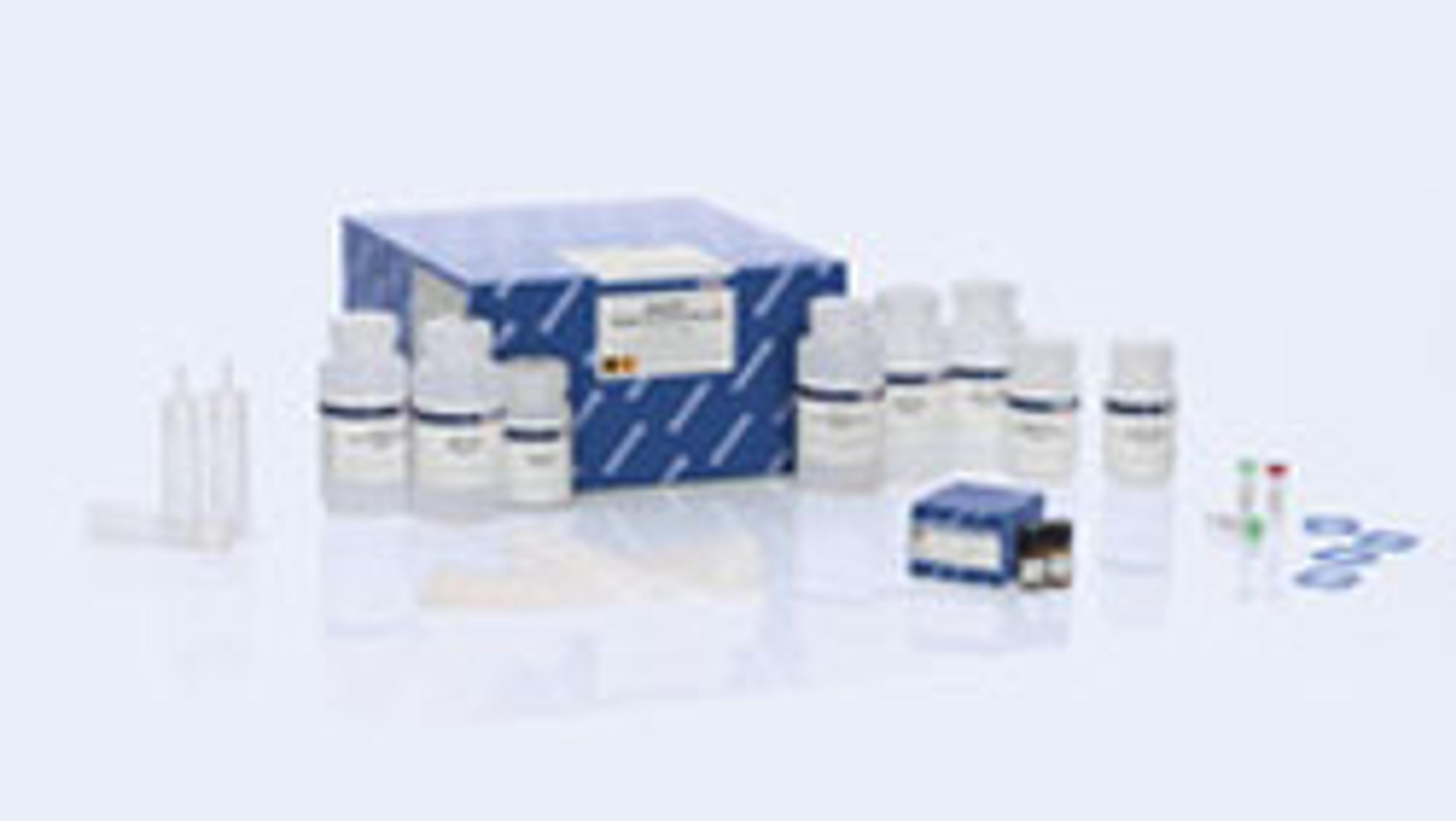 QIAGEN Large-Construct Kit (10) - QIAGEN