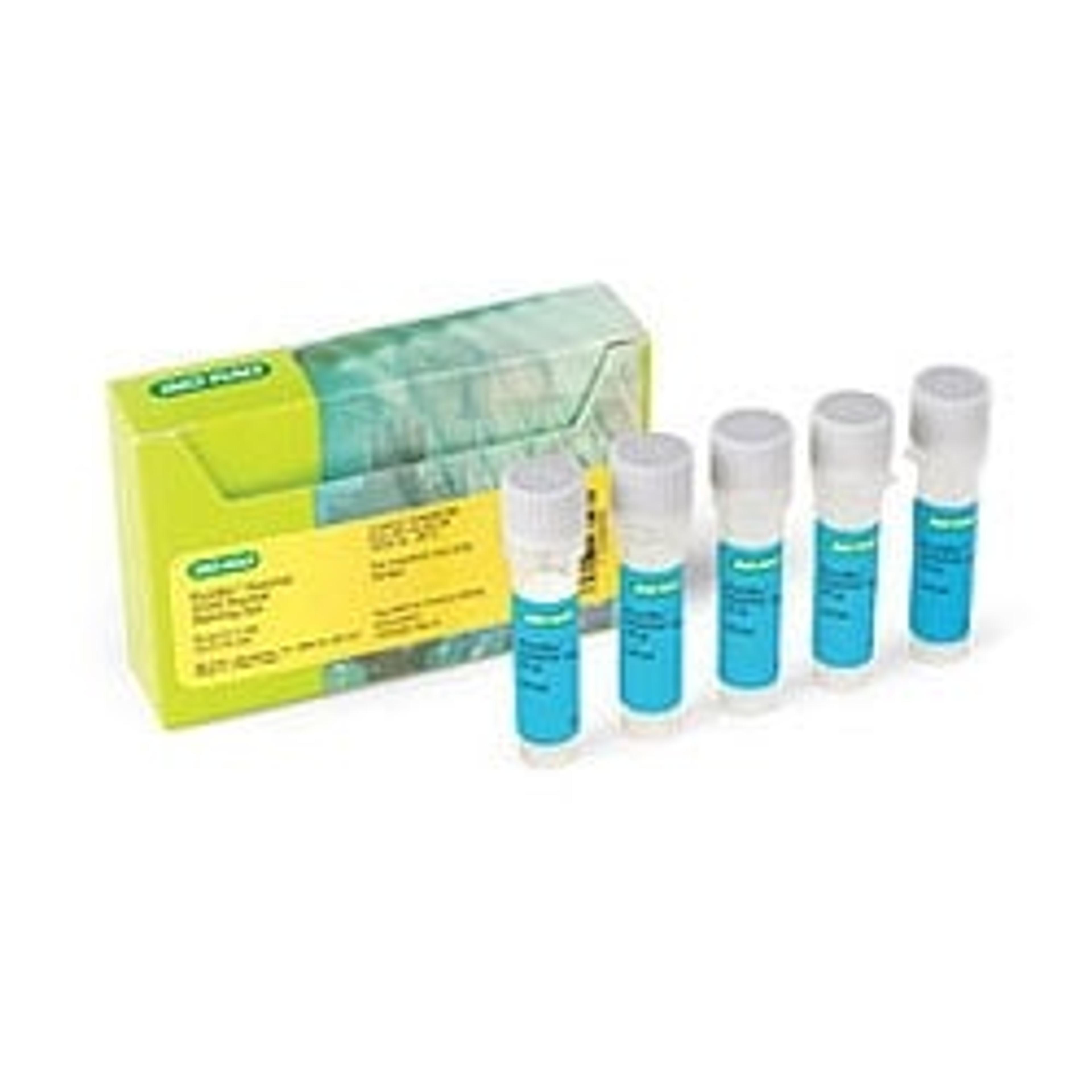 PureBlu⢠Hoechst 33342 Nuclear Staining Dye - Bio-Rad - Life Sciences