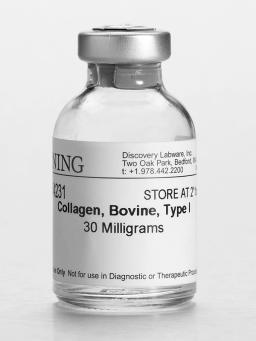 Corning® Collagen I, Bovine, 30 mg - Corning Life Sciences - Life Sciences