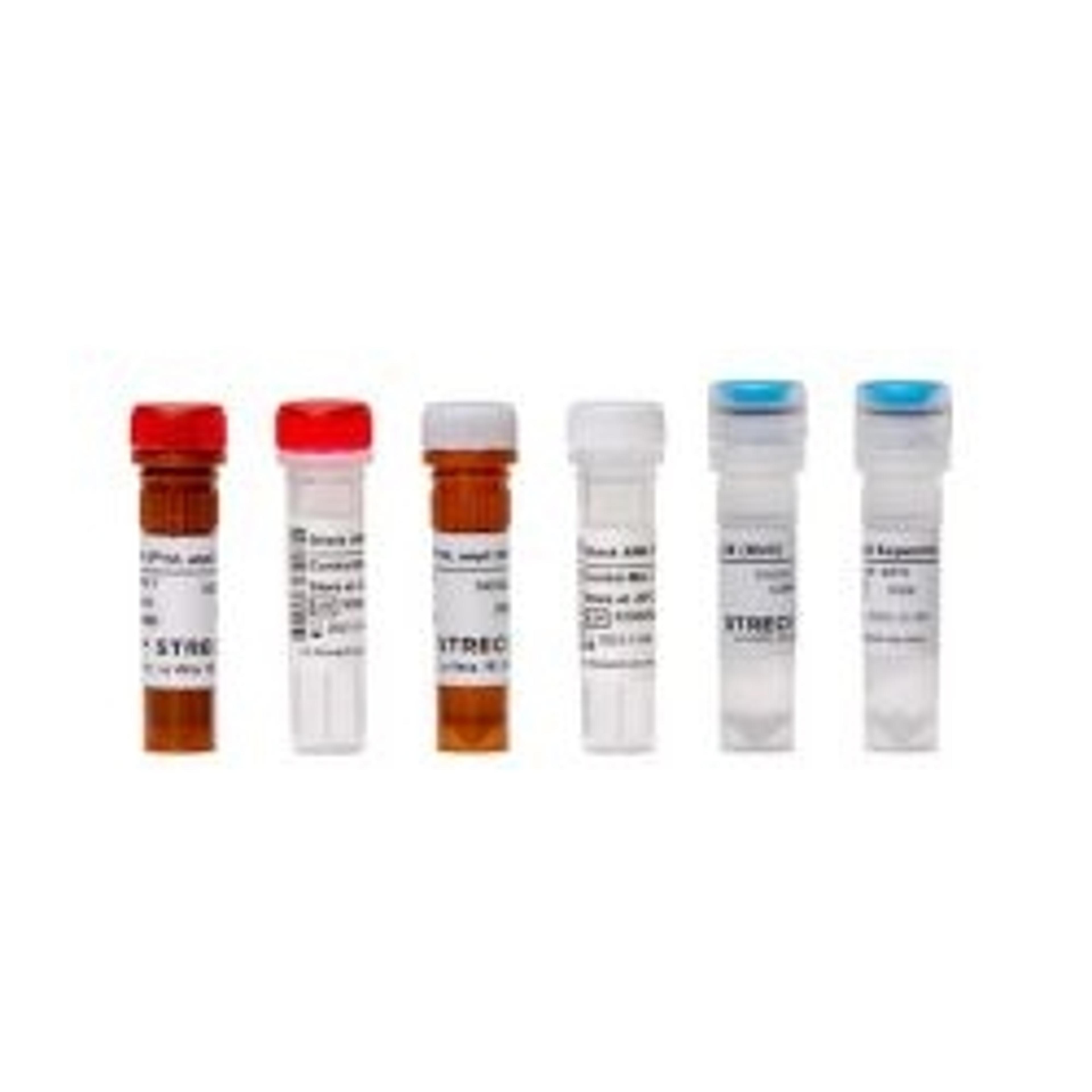 ARM-D® Kit, ampC - Streck - Life Sciences