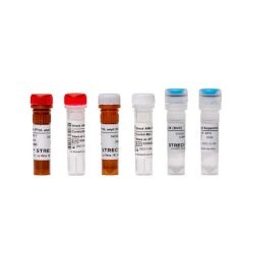 ARM-D® Kit, ampC - Streck - Life Sciences