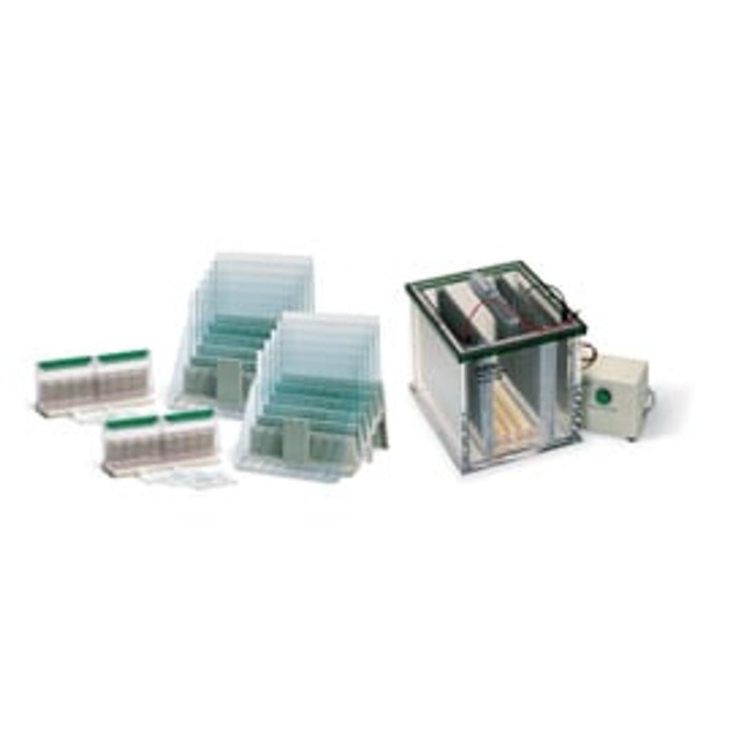 PROTEAN® Plus Dodeca Cell (100/120 V) and Two 6-Row AnyGel™ Stands - Bio-Rad - Life Sciences