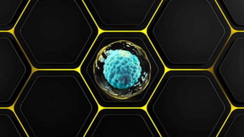 A single stem cell in a nanowell plate