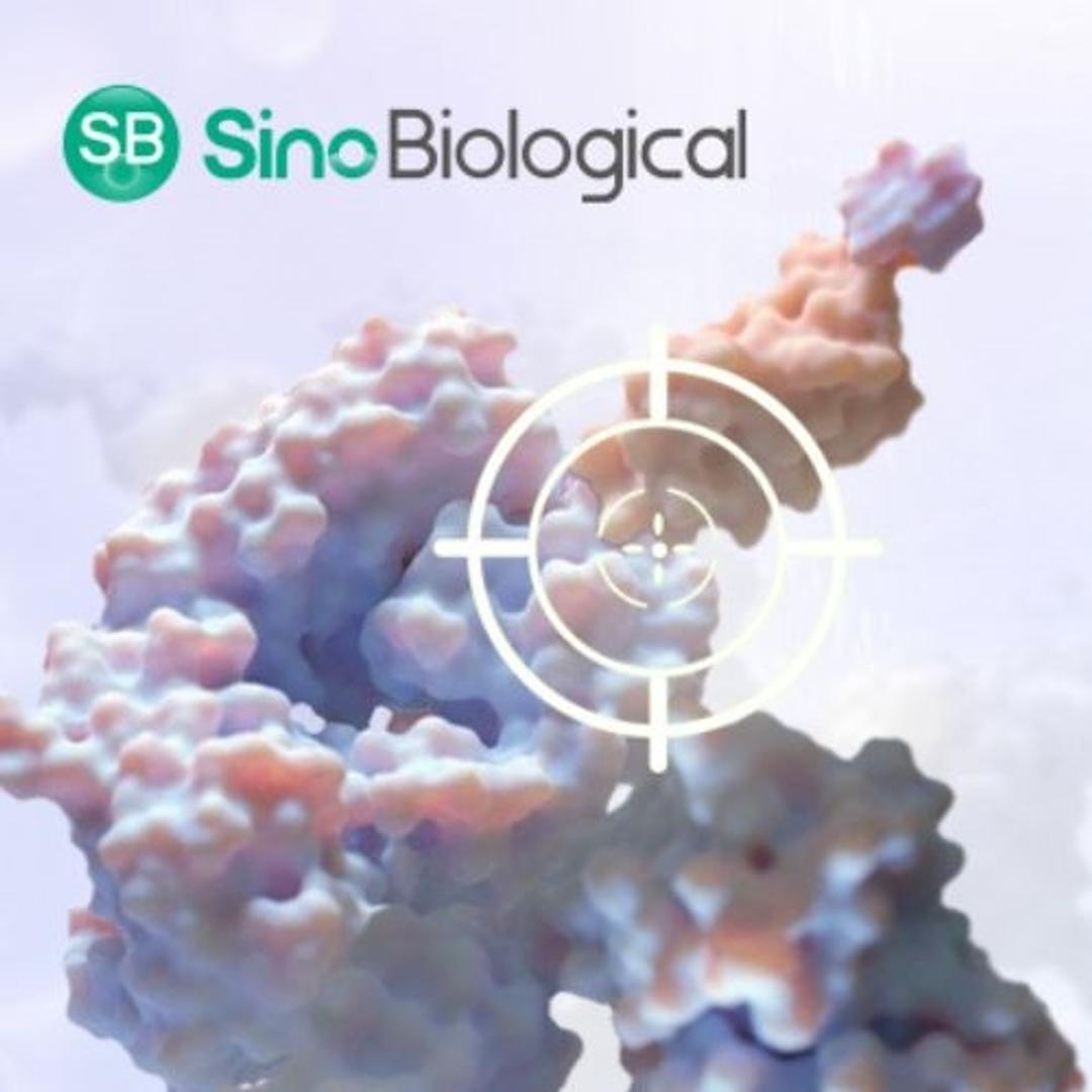 Cytokine Target Proteins - Sino Biological - Life Sciences