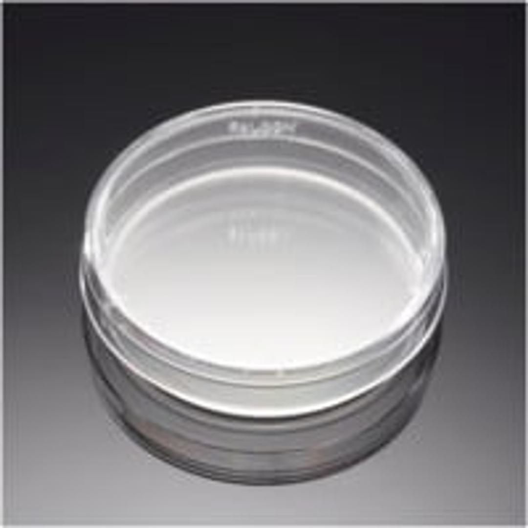 Falcon® 60 mm TC-treated Cell Culture Dish, 20/Pack, 500/Case, Sterile - Corning Life Sciences - General Lab