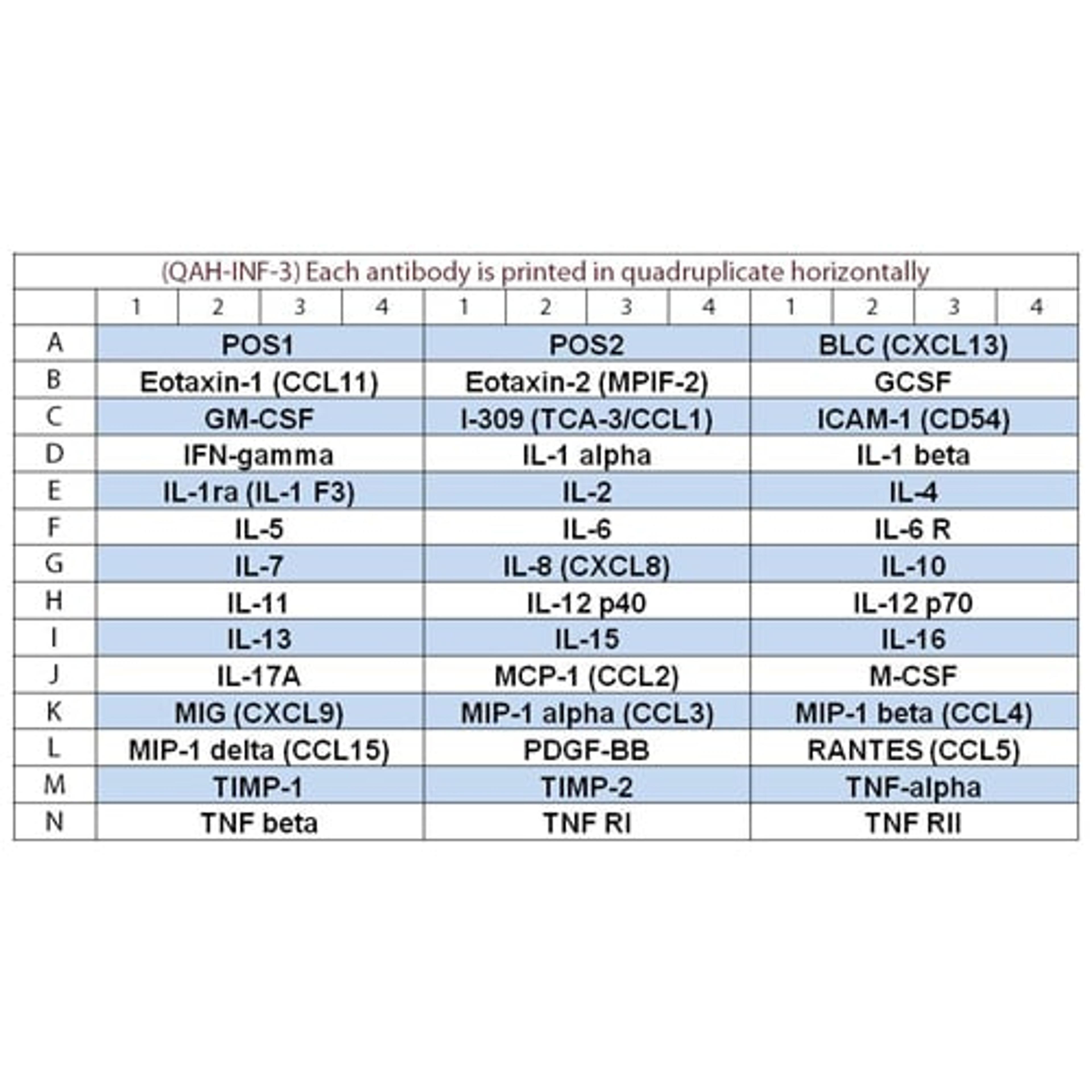 Human Inflammation Array Q3 - RayBiotech Inc. - Life Sciences