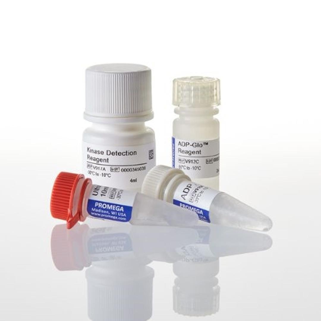 ADP-Glo™ Kinase Assay - Promega Corp. - Life Sciences
