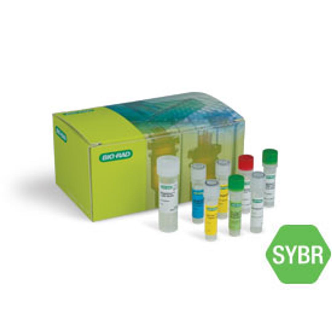 SingleShot™ SYBR® Green One-Step Kit for Cell Lysis and RT-qPCR, 100 x 50 µl reactions - Bio-Rad - Life Sciences