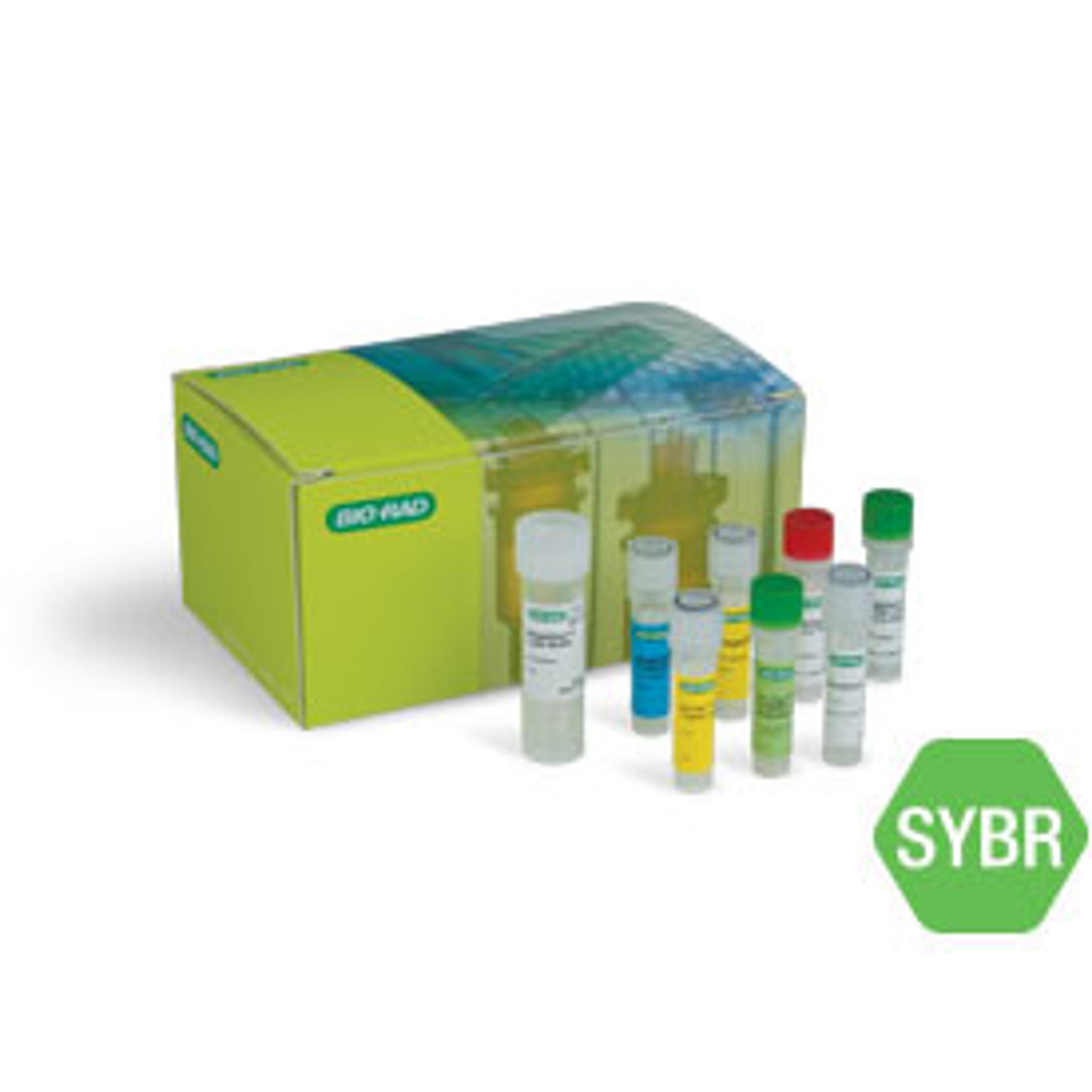 SingleShot™ SYBR® Green One-Step Kit for Cell Lysis and RT-qPCR, 100 x 50 µl reactions - Bio-Rad - Life Sciences