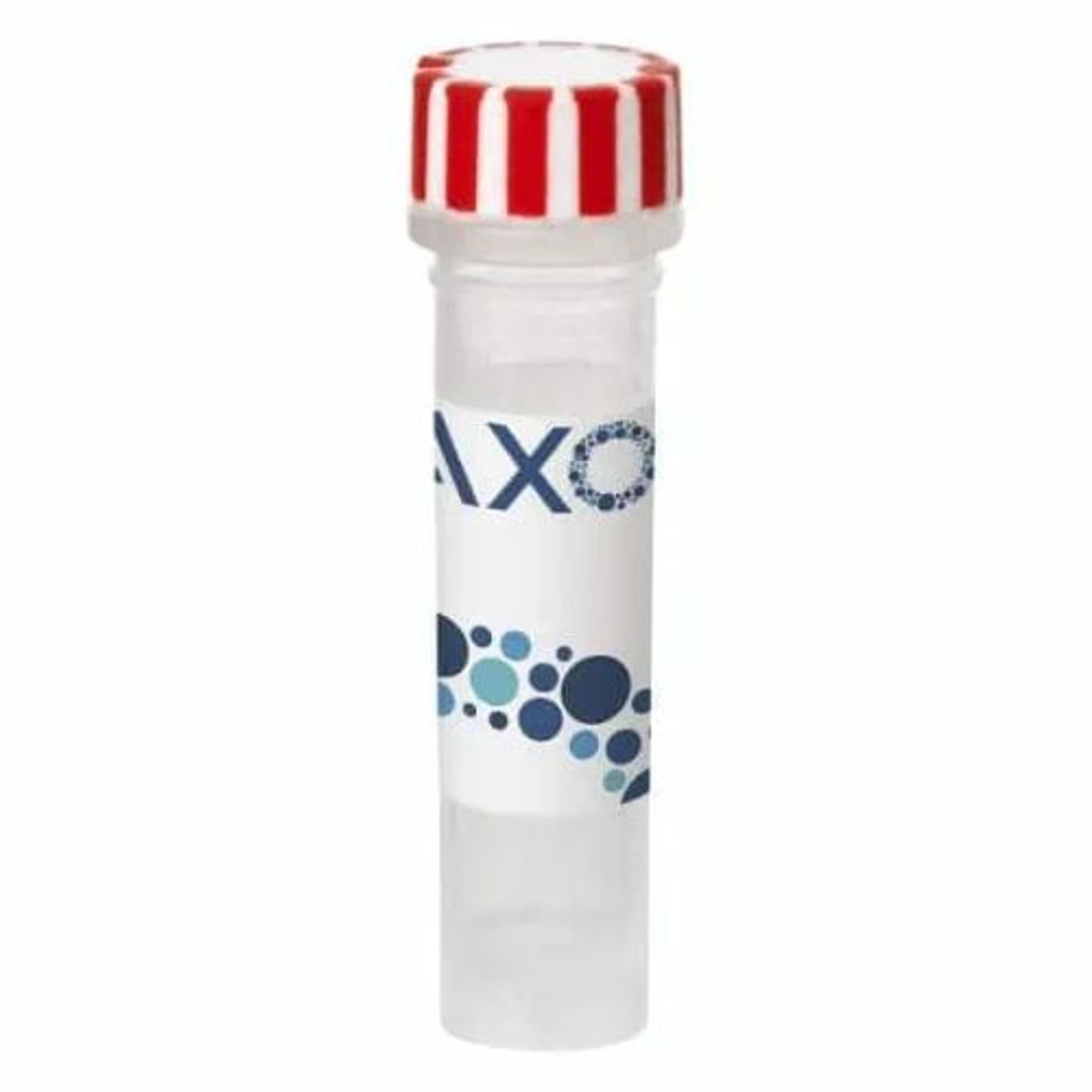 axoCells™ Sensory Neuron Maximizer Supplement, 1 ml - Axol Bioscience - Life Sciences
