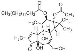 Phorbol 12-myristate 13-acetate - Merck KGaA, Darmstadt, Germany - Life Sciences
