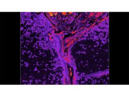RMS1000 Multimodal Confocal Raman Microscope  - Edinburgh Instruments Ltd. - Spectroscopy