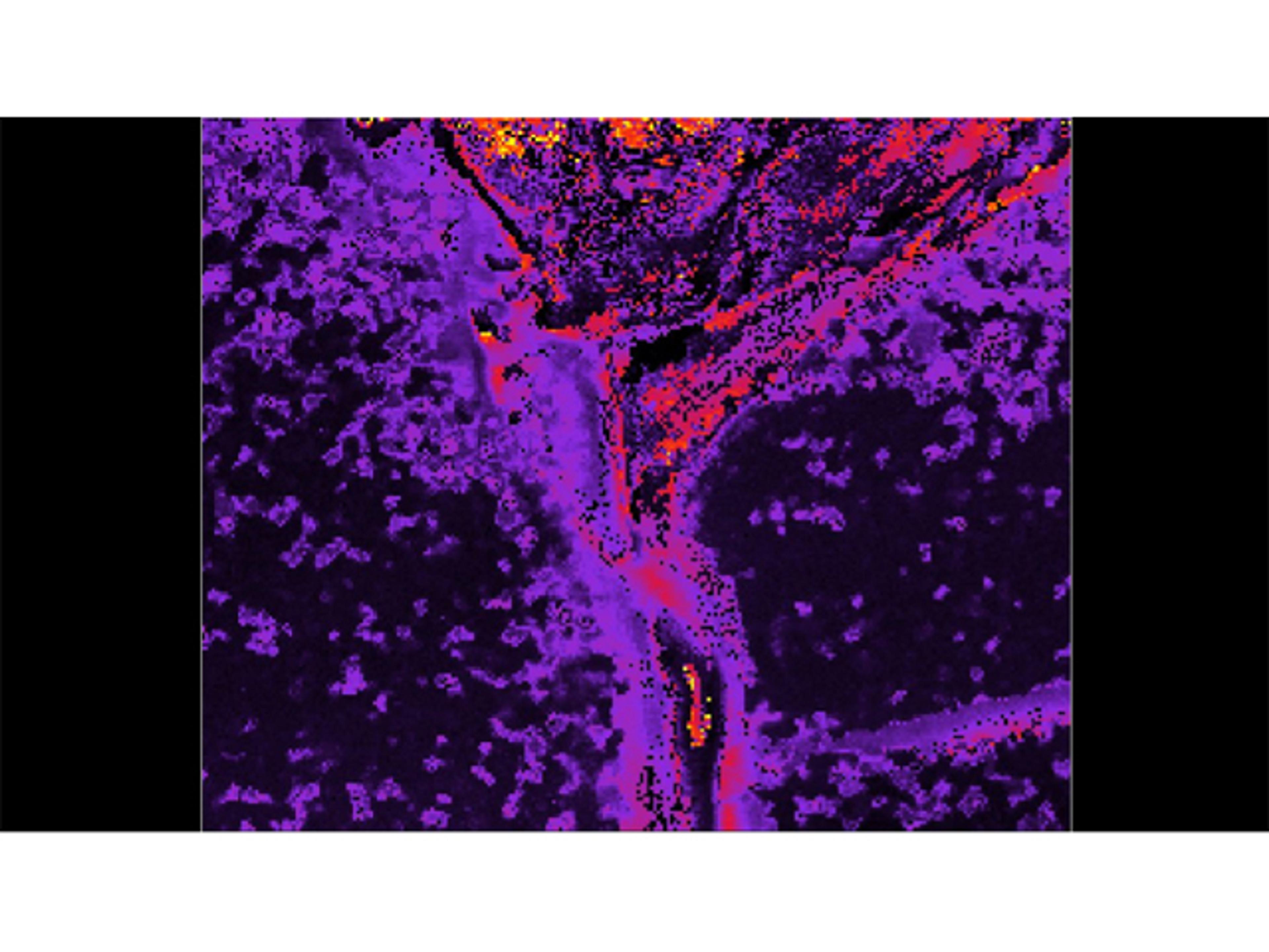 RMS1000 Multimodal Confocal Raman Microscope  - Edinburgh Instruments Ltd. - Spectroscopy