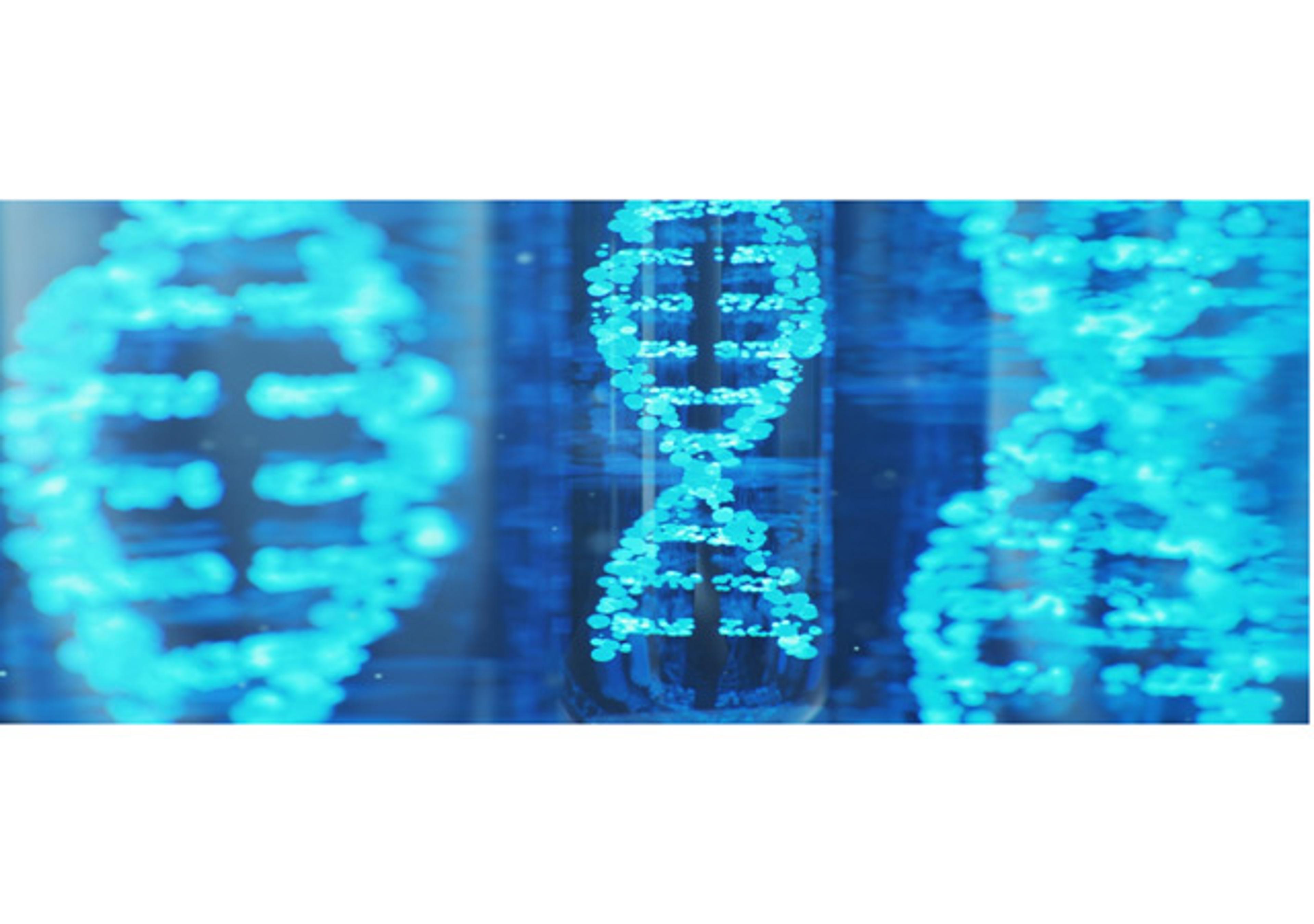 Circular RNAs (circRNAs) Services