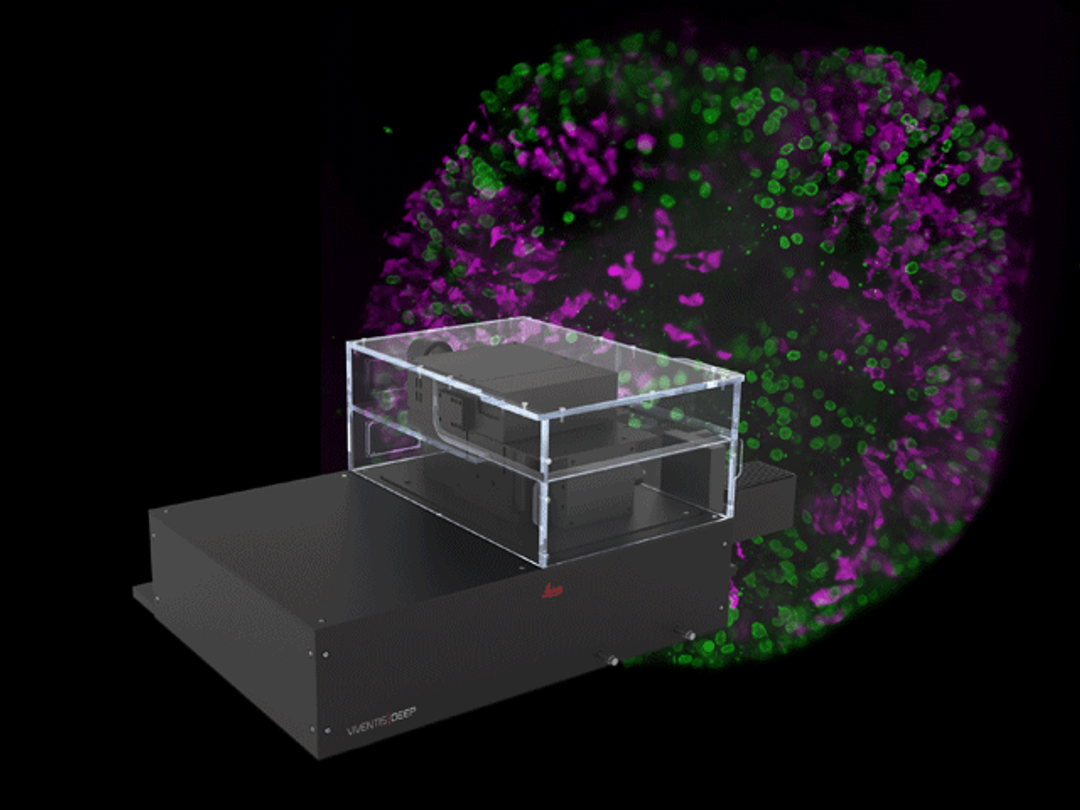 Viventis Deep Light Sheet Fluorescence Microscope - Leica Microsystems Europe - Life Sciences