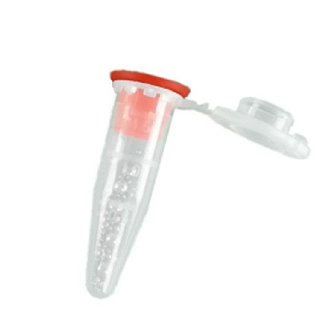 Bead Lysis Kits - Next Advance Inc. - General Lab