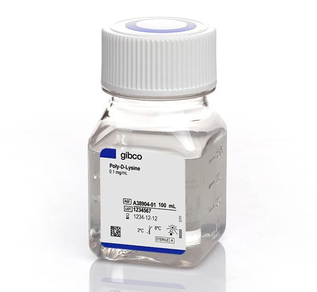 Gibco™ Poly-D-Lysine - Thermo Fisher Scientific