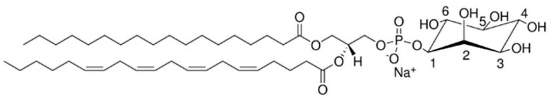 Avanti® Polar Lipids Liver PI - Merck KGaA, Darmstadt, Germany - Drug discovery > Drug Manufacturing