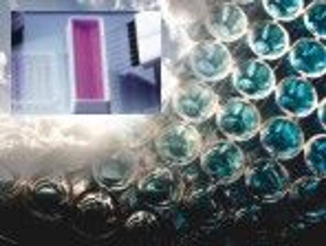 TMB X-tra - Prestained - null - Life Sciences