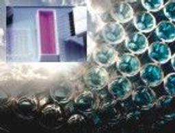 TMB X-tra - Prestained - null - Life Sciences