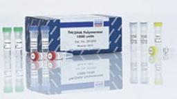 Taq DNA Polymerase (250 U) - QIAGEN