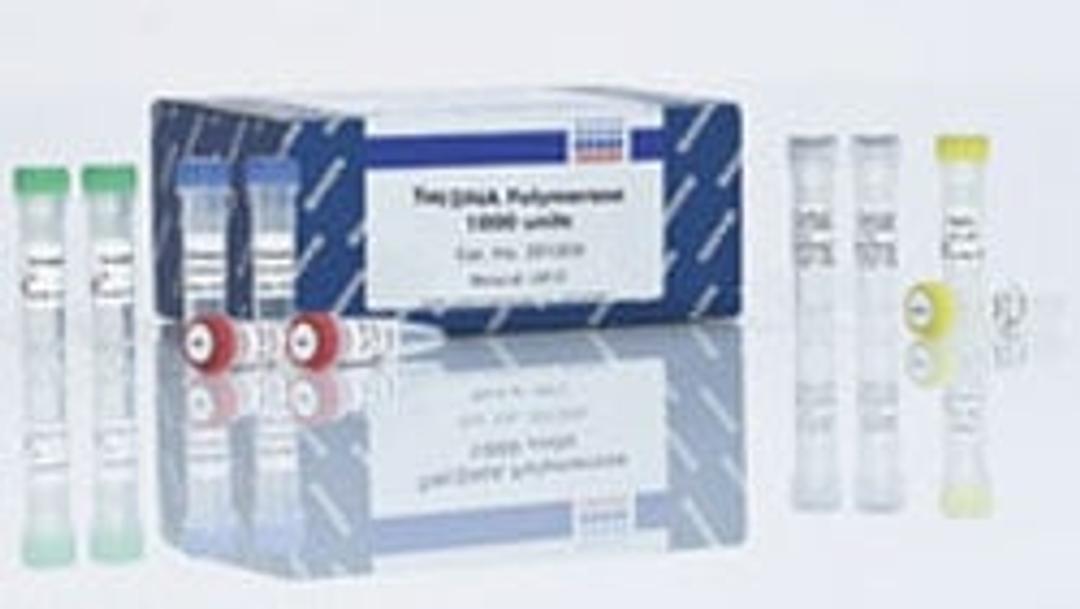 Taq DNA Polymerase (250 U) - QIAGEN
