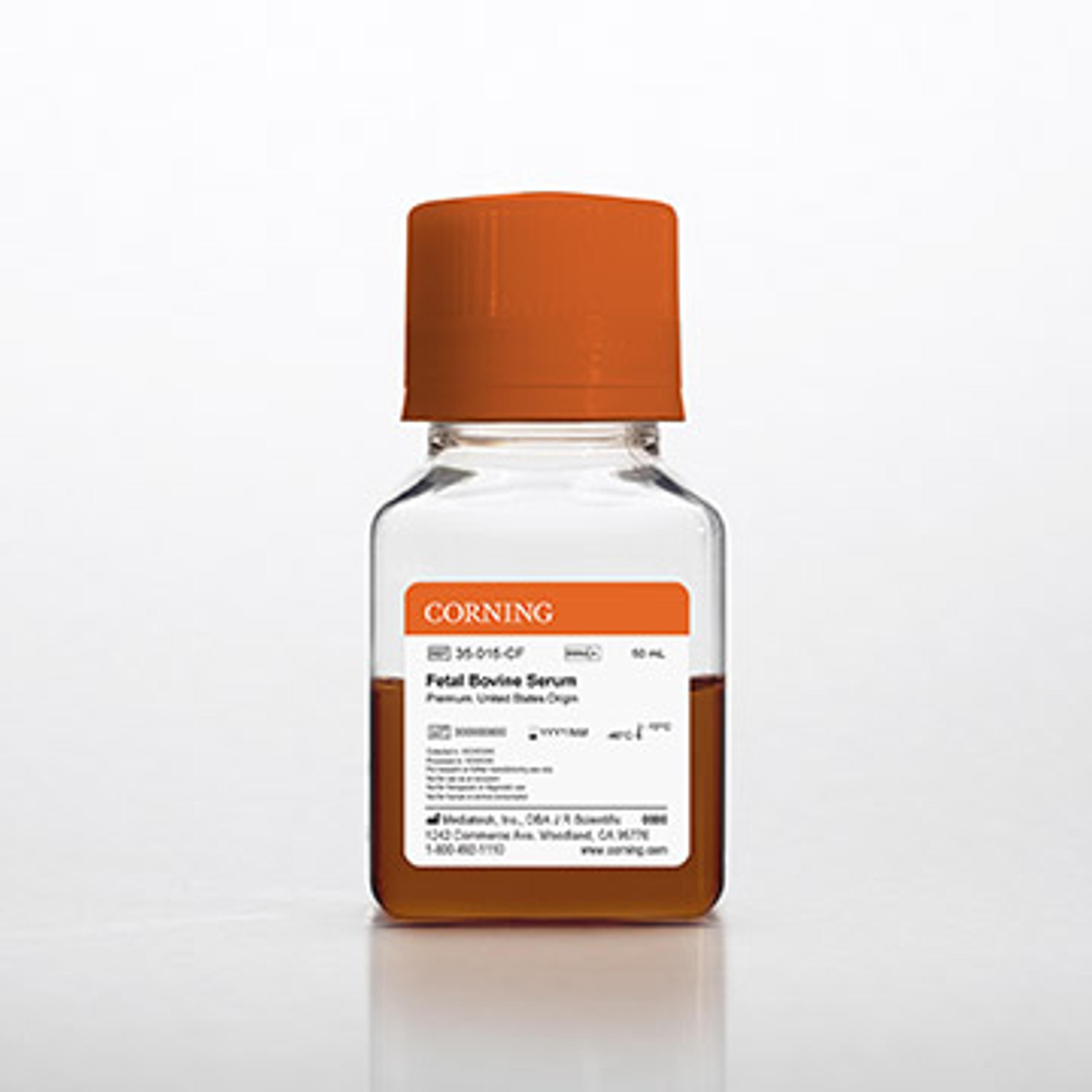 Corning® Fetal Bovine Serum, 50 mL, Premium, United States Origin - Corning Life Sciences