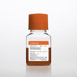 Corning® Fetal Bovine Serum, 50 mL, Premium, United States Origin - Corning Life Sciences