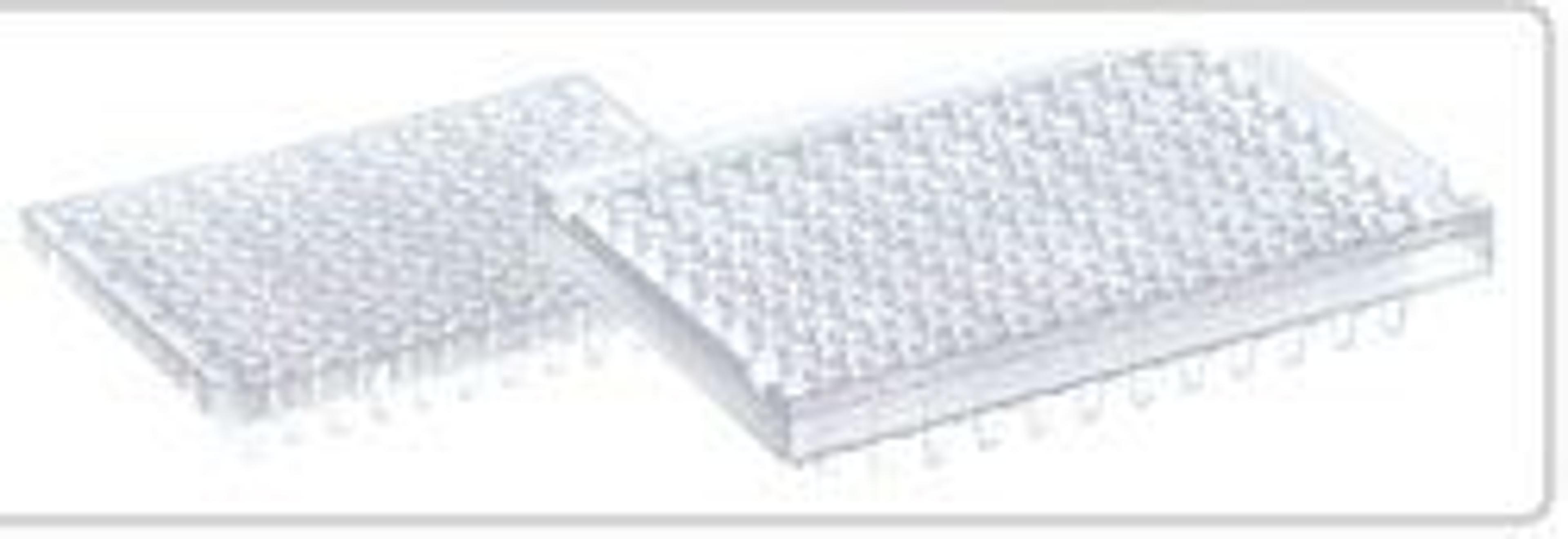 Thermo Scientific 96 Well PCR Plates - Thermo Fisher Scientific - Life Sciences