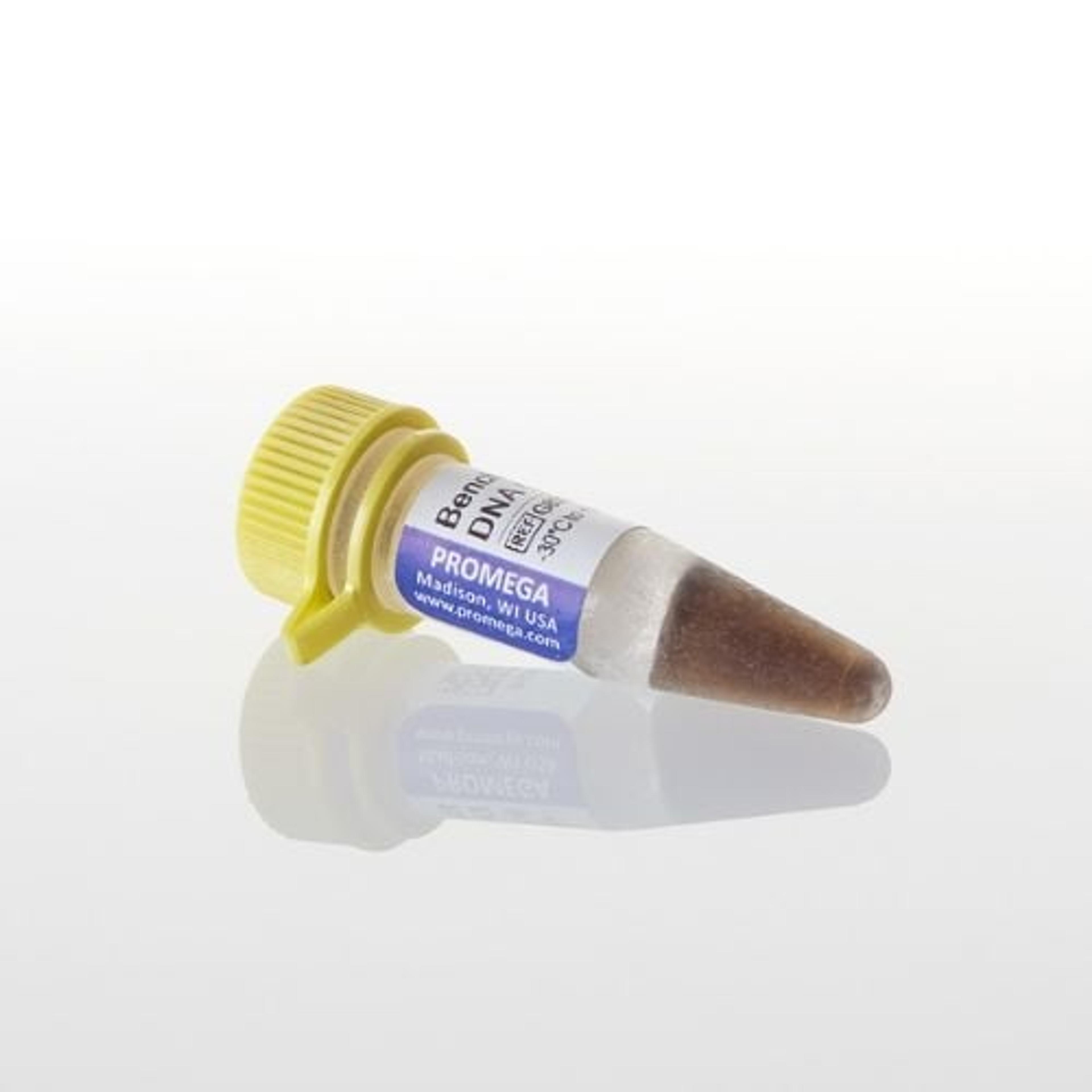 Benchtop DNA Markers - Promega Corp. - Life Sciences