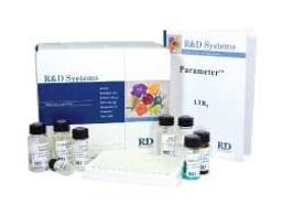 Prostaglandin E2 Parameter Assay Kit - Bio-Techne - Life Sciences