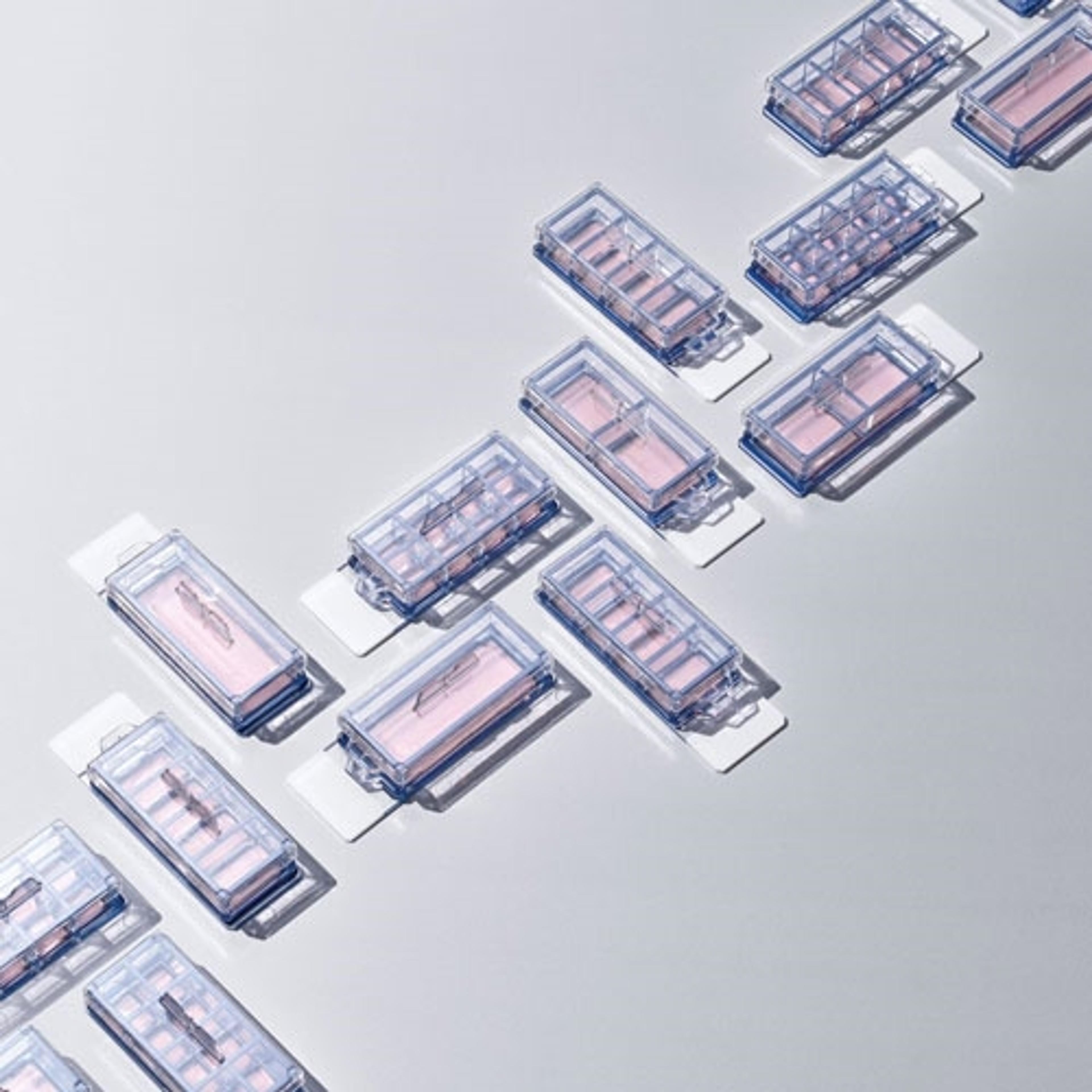 Thermo Scientific™ Nunc™ Imaging Dishes, Plates, Slides and Coverglass - Thermo Fisher Scientific - Life Sciences