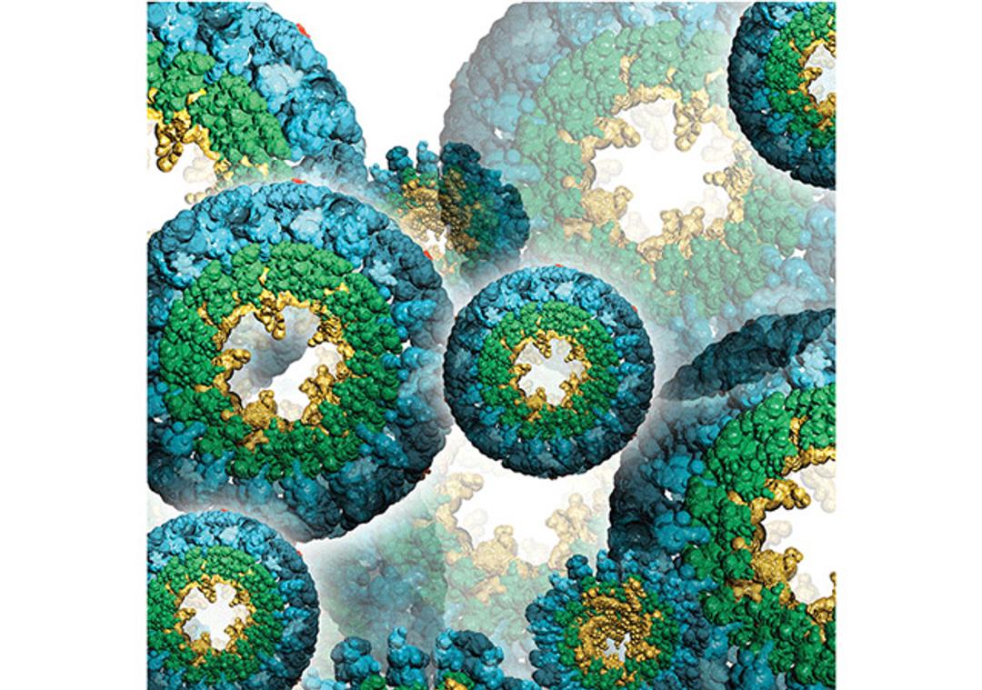 Proteomics - Cambridge Isotope Laboratories - Life Sciences