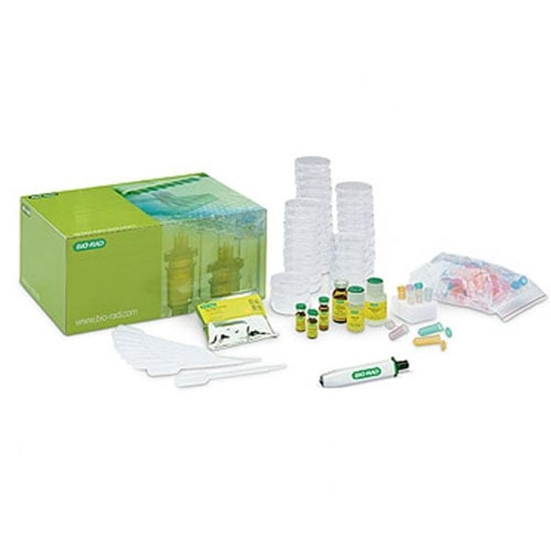 pGLO™ Bacterial Transformation Kit - Bio-Rad - Life Sciences