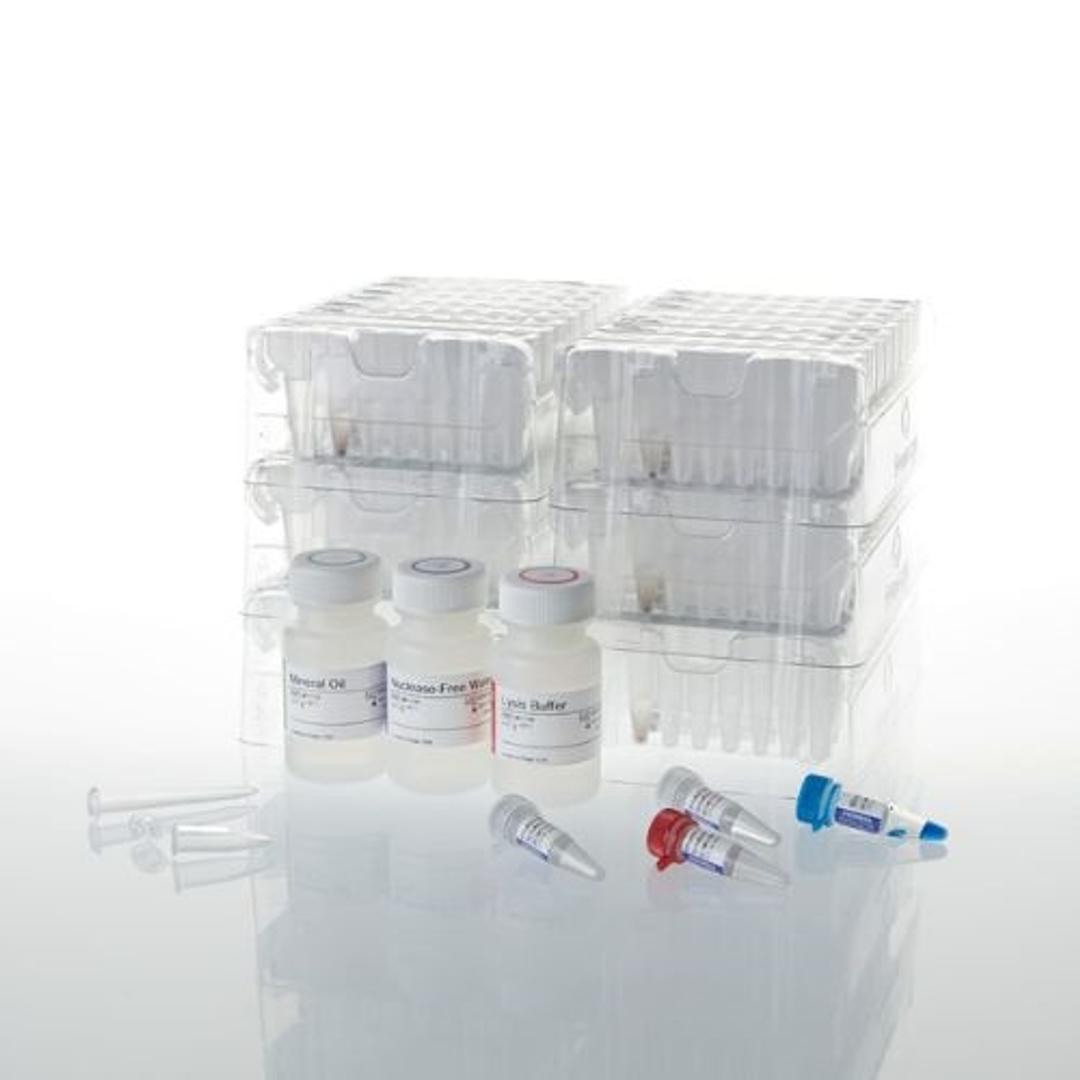 Maxwell® CSC DNA FFPE Kit - Promega Corp. - Life Sciences