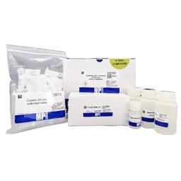 SPINeasy DNA Kit for Tissue and Bacteria - MP Biomedicals - Life Sciences