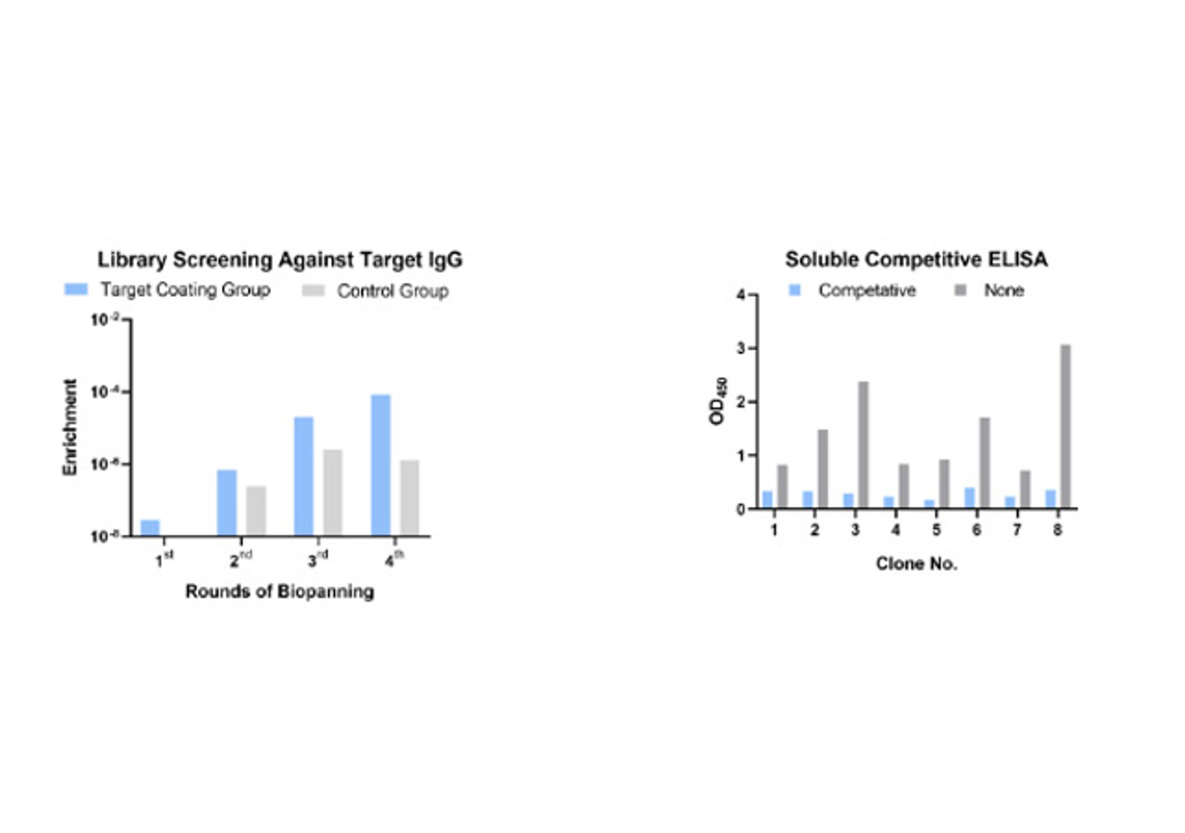 Phage Display HuScL-6 Human Antibody Library Screening Service