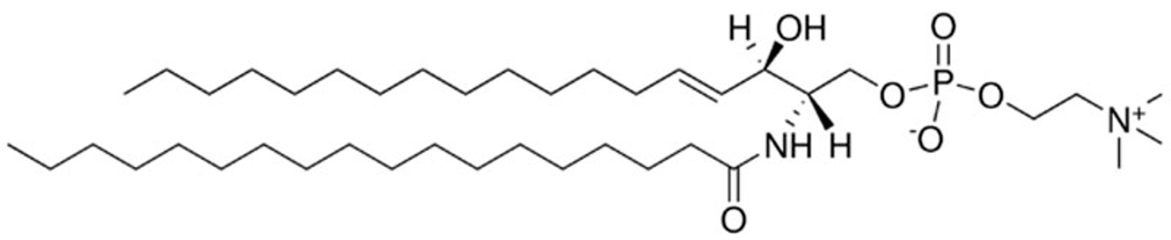 Avanti® Polar Lipids 18:0 SM (d18:1/18:0) - Merck KGaA, Darmstadt, Germany - Drug discovery > Drug Manufacturing