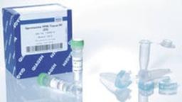 Qproteome FFPE Tissue Kit (20) - QIAGEN